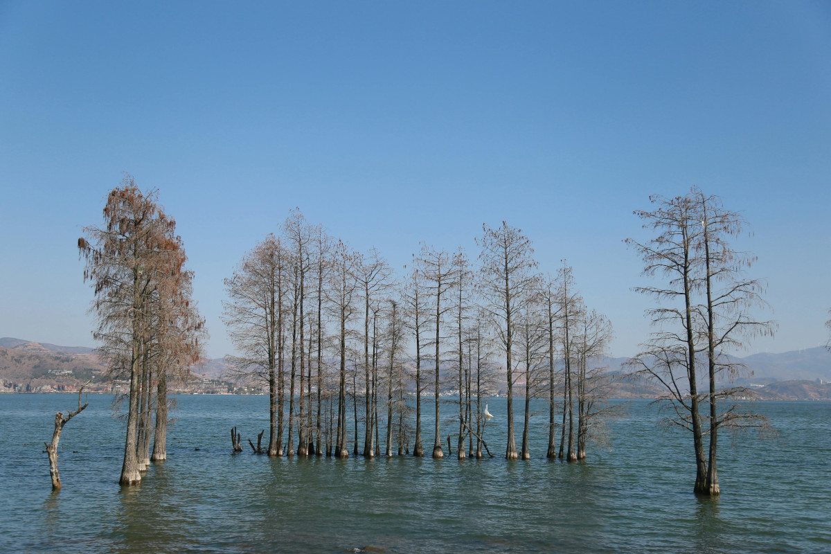 Pruszcz Gdański Operat